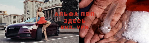 дживик Абинск