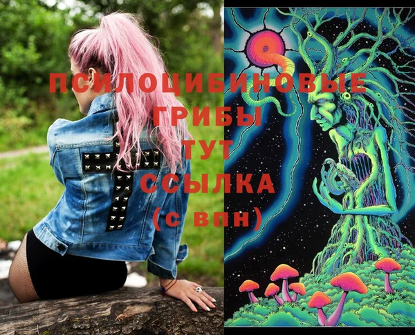 индика Абдулино