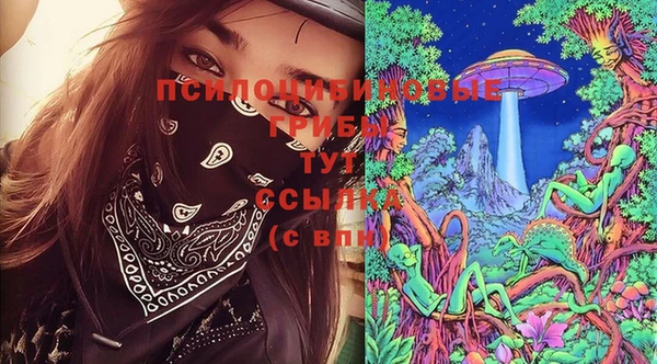 индика Абдулино
