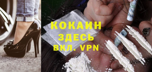дживик Абинск