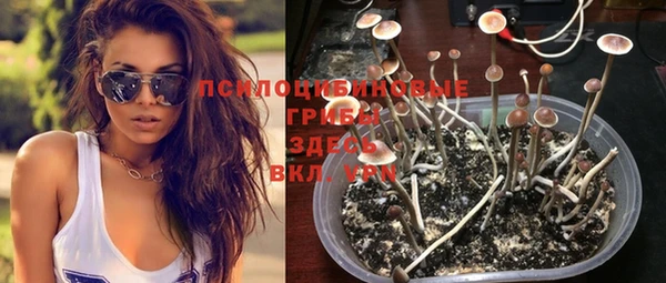 индика Абдулино