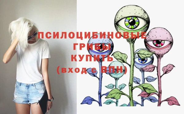 индика Абдулино